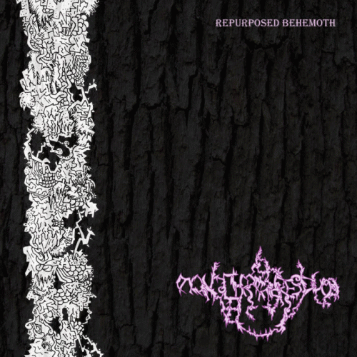 Monochromatic Residua : Repurposed Behemoth